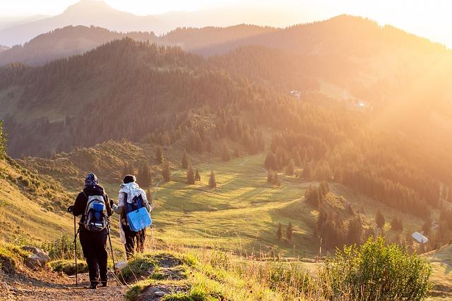Exploring the Art of Internal Linking for Enhanced SEO Performance