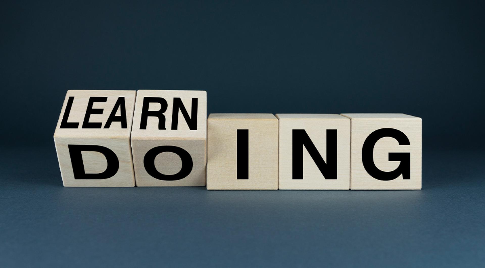 Learning from Setbacks: Insights and Adaptations
