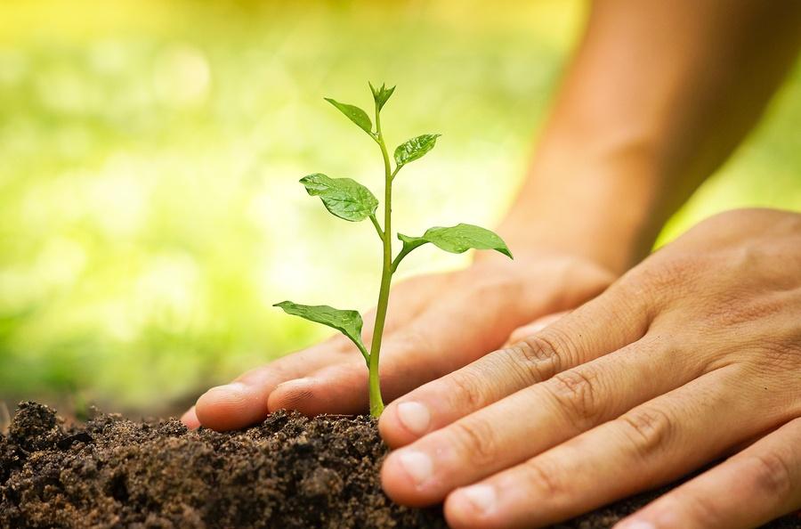 Cultivating a Mindset of Continuous Improvement