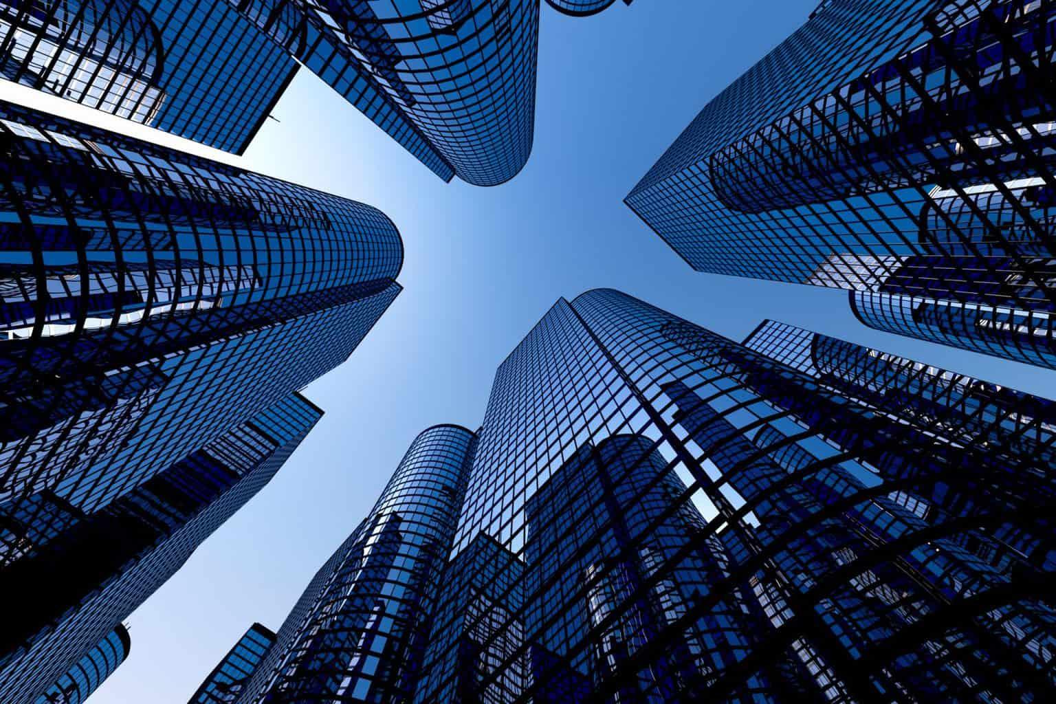 building Connections: networking and Resources in the U.S.Market