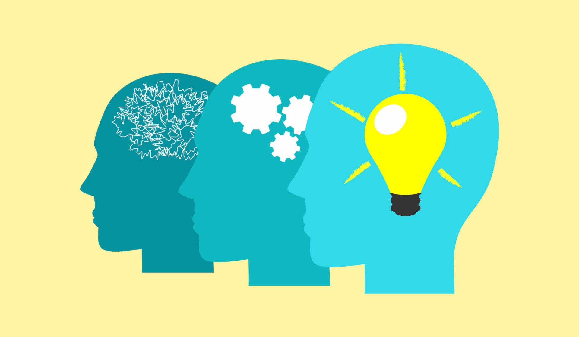 Understanding Portfolio diversity for Sustainable Growth
